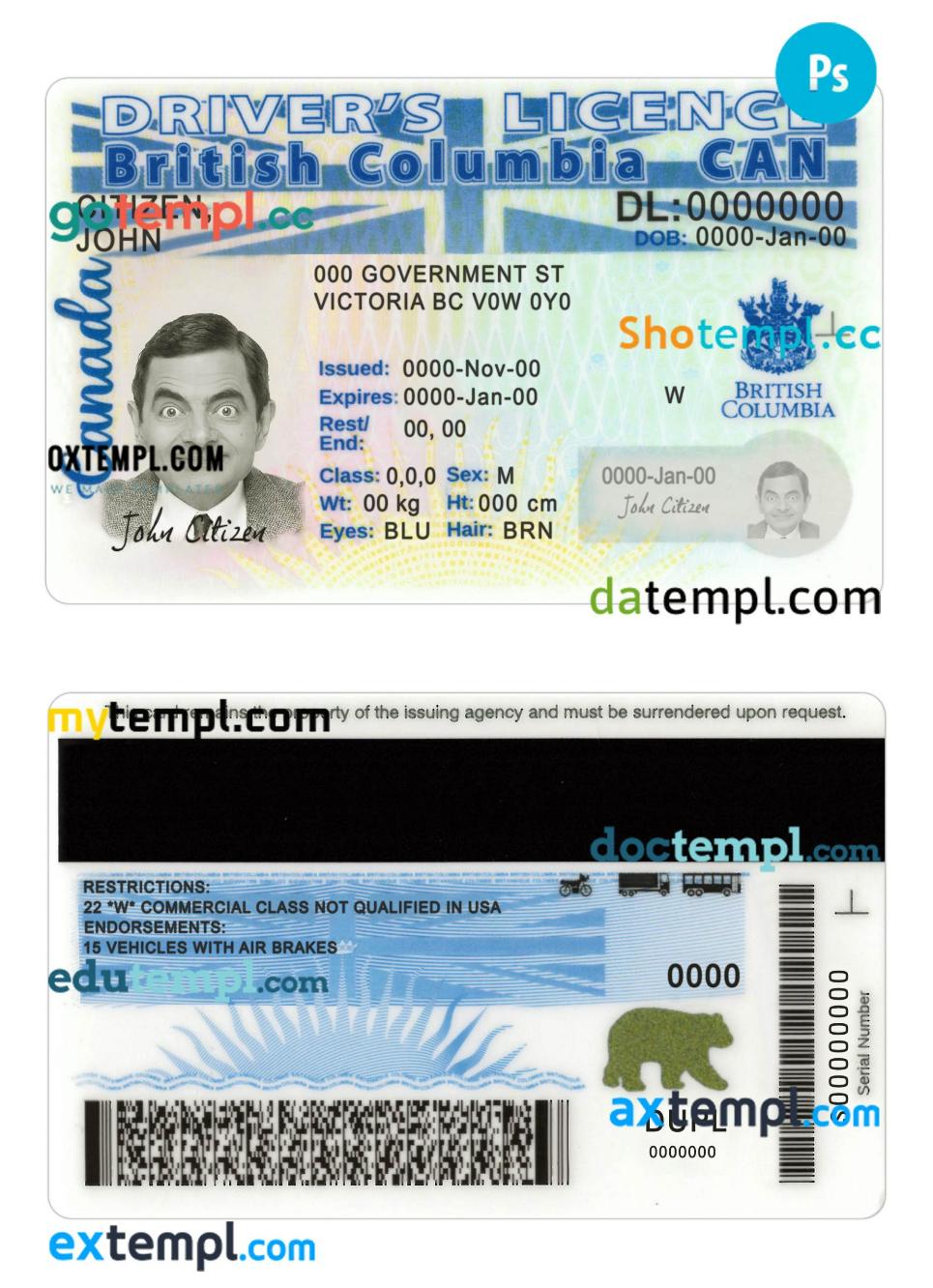 Canada BC driving permit mockup