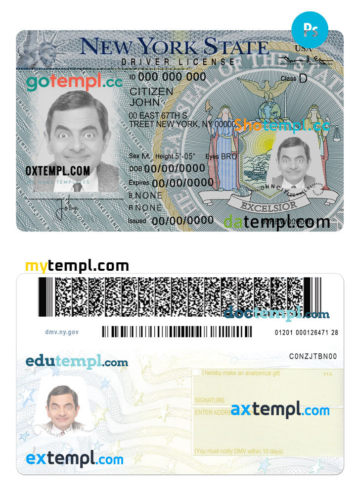 New York PSD Driving License Fully Editable