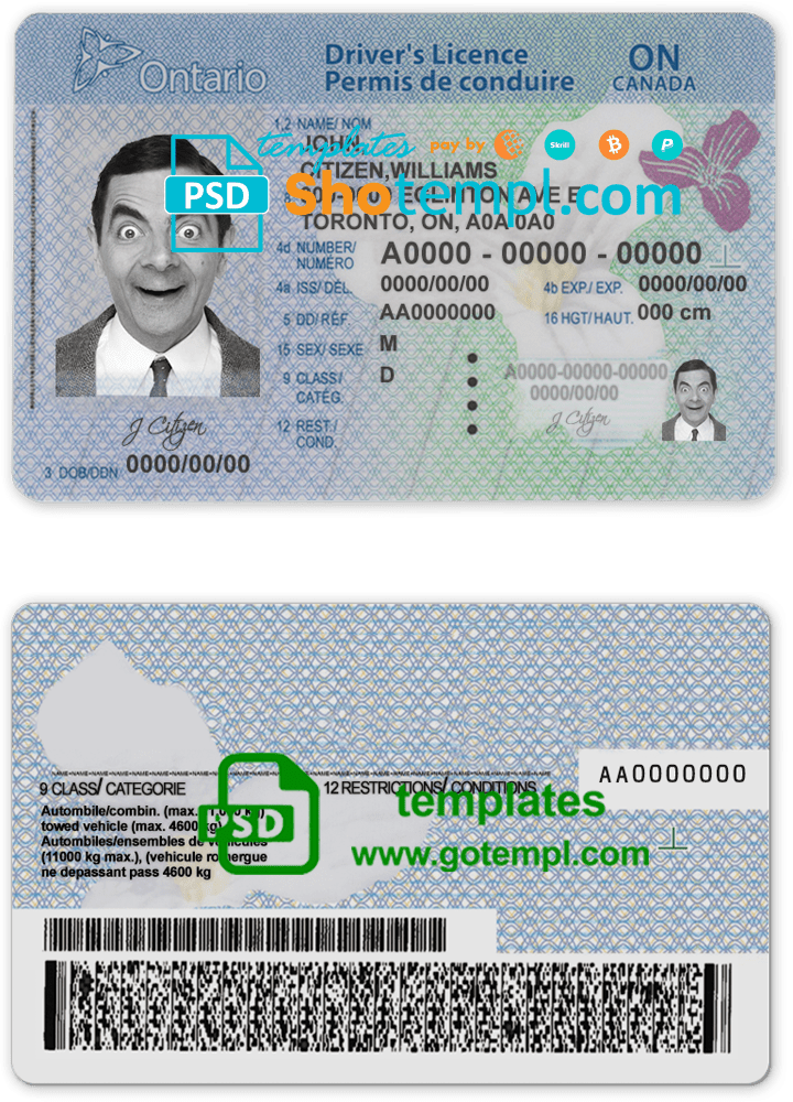 Canadian driver license fully customizable PSD file
