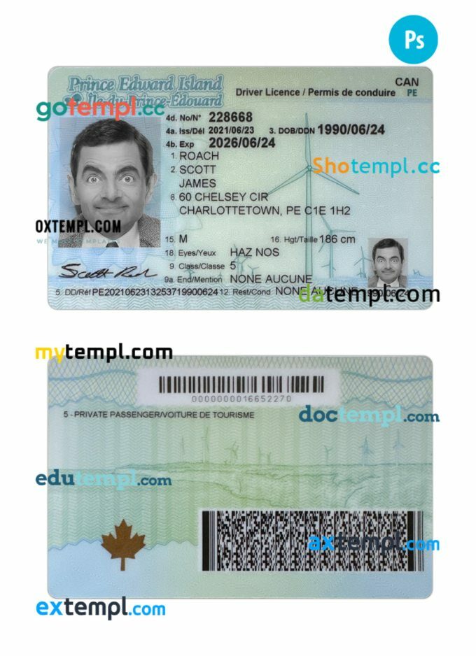 Canada PEI driving permit template